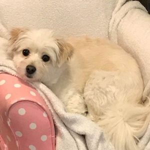 Meet your Posher, Eileen